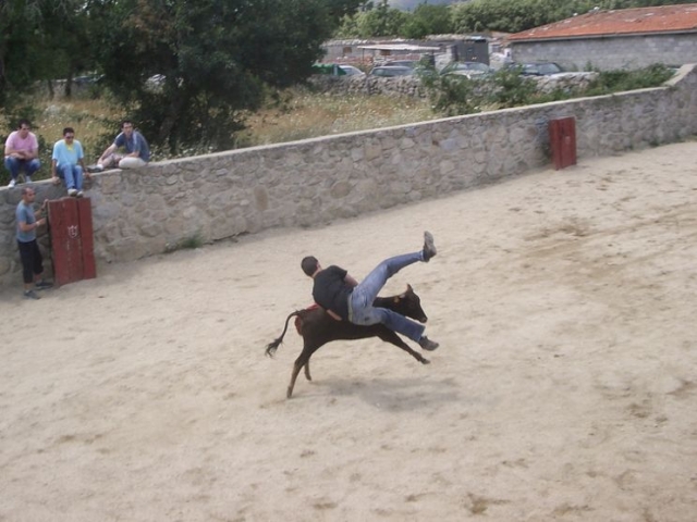 Primera embestida.jpg